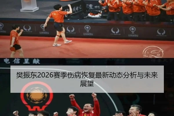 樊振东2026赛季伤病恢复最新动态分析与未来展望