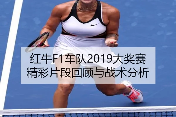 红牛F1车队2019大奖赛精彩片段回顾与战术分析