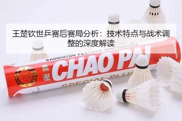 王楚钦世乒赛后赛局分析：技术特点与战术调整的深度解读